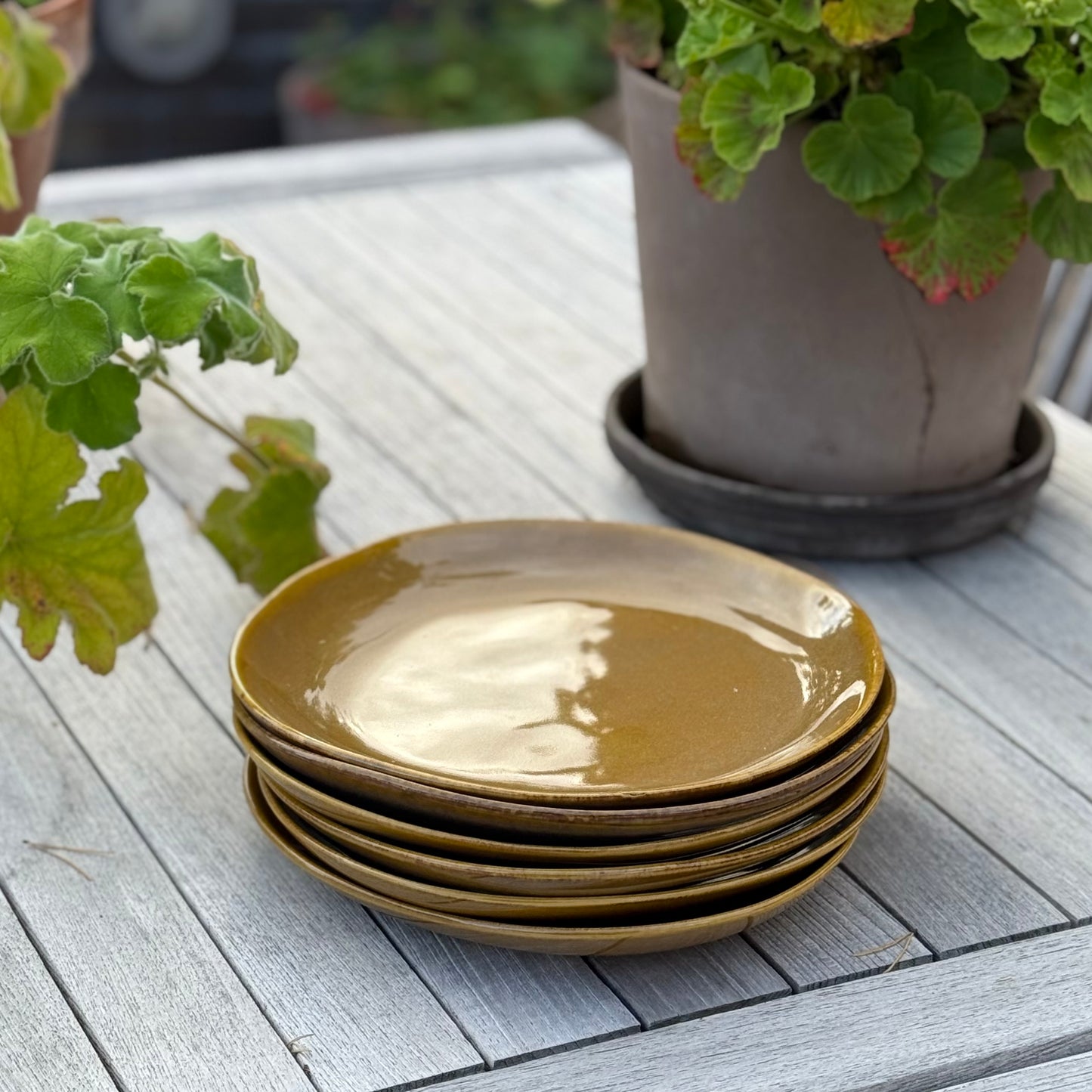 ESKETILBUD 60% - 6 frokosttallerkner - brun